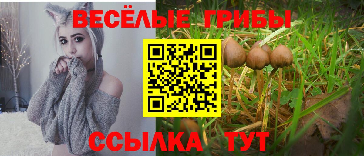 что такое наркотик  Галлюциногенные грибы мухоморы  Уварово  Вход с VPN  Галлюциногенные грибы Psilocybe 